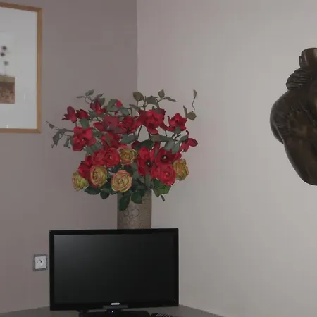 Le Petit Cochon D' Hotes Haims