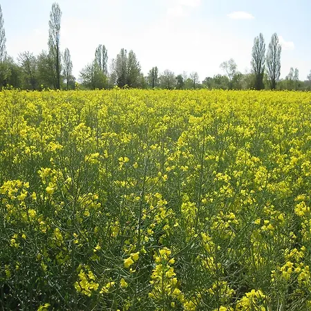 住宿加早餐酒店 Le Petit Cochon D' Hotes Haims