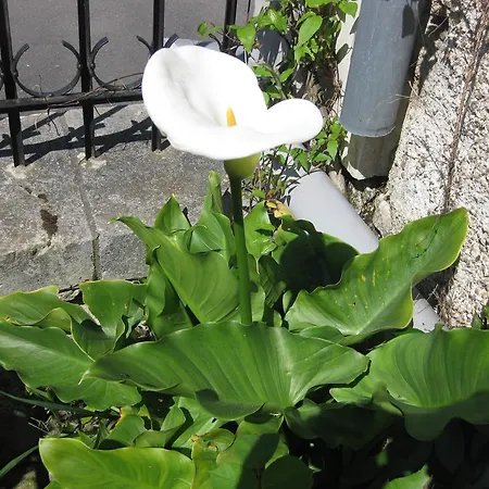 Le Petit Cochon D' Hotes 3*