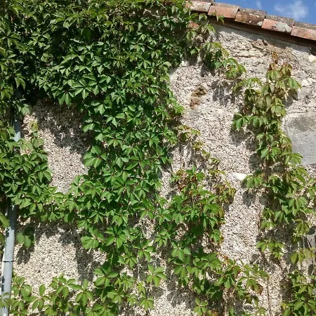 Le Petit Cochon D' Hotes Haims