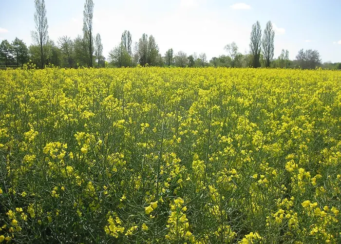 Bed and breakfast Le Petit Cochon D' Hotes Haims