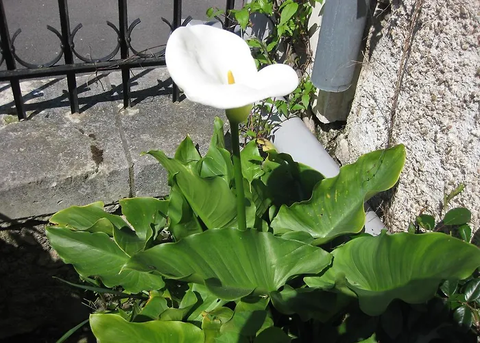 Le Petit Cochon D' Hotes 3*