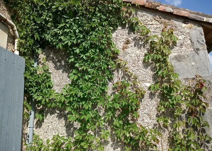 Le Petit Cochon D' Hotes Haims